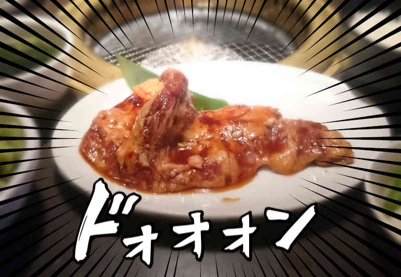 f:id:mocchee:20190519192656j:plain