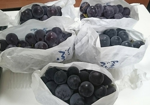 f:id:mocchee:20190906175731j:plain f:id:mocchee:20190906175731j:plain