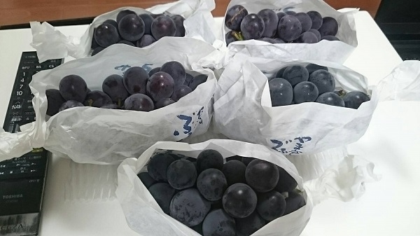 f:id:mocchee:20190906180012j:plain f:id:mocchee:20190906180012j:plain