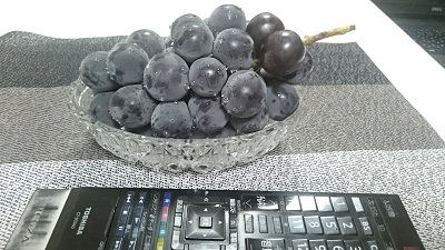 f:id:mocchee:20190906180801j:plain f:id:mocchee:20190906180801j:plain