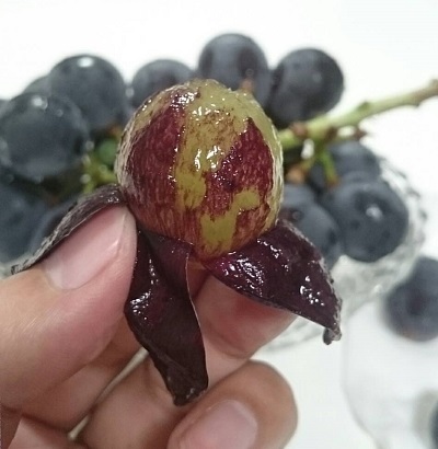 f:id:mocchee:20190906181821j:plain f:id:mocchee:20190906181821j:plain