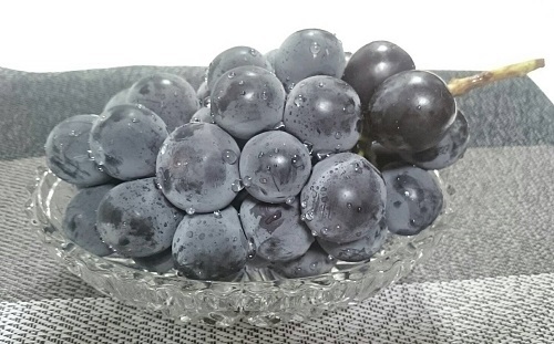 f:id:mocchee:20190906192554j:plain f:id:mocchee:20190906192554j:plain