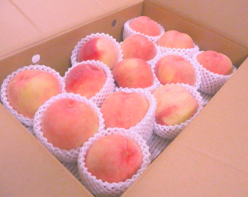 f:id:mocchee:20190912191429j:plain f:id:mocchee:20190912191429j:plain