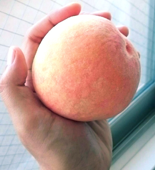 f:id:mocchee:20190912193111j:plain f:id:mocchee:20190912193111j:plain