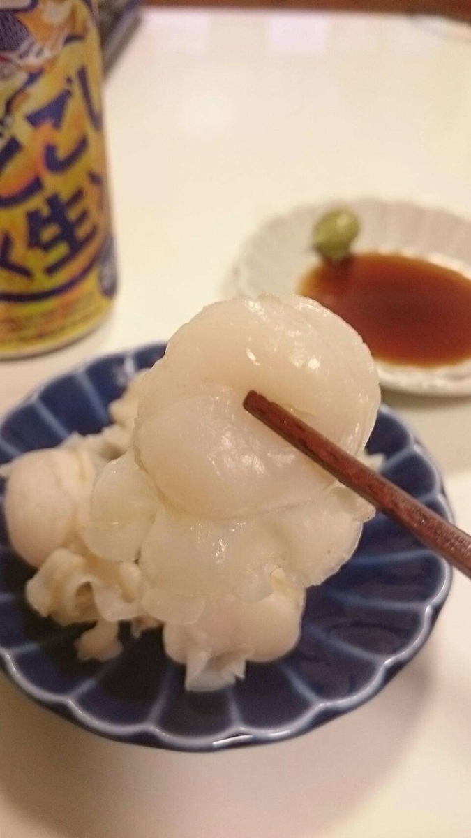 イタヤ貝 イタヤガイ