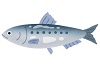 f:id:mocchee:20210512014917j:plain