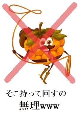 投げ縄 投げ方 おかしい 不思議 - 節約大好きmoccheeの徒然日記