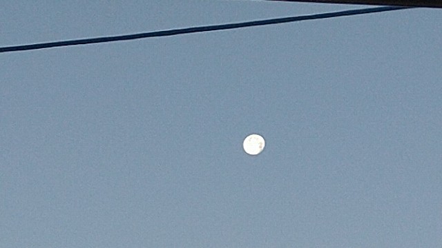 f:id:mocchieworld:20210105201127j:image