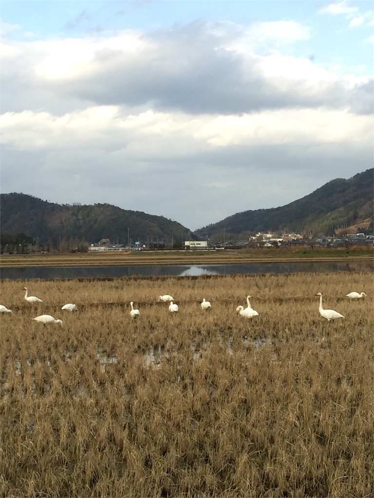 f:id:mocchinneige:20180120214841j:image