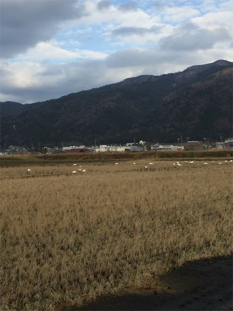 f:id:mocchinneige:20180120214849j:image