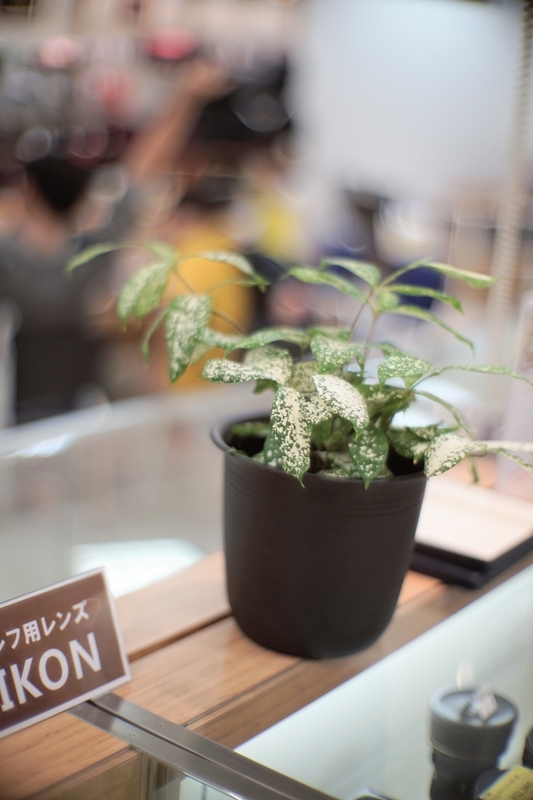 マウントアダプターあそび！高級熟女をお店でおさわり Canon 50mm F0