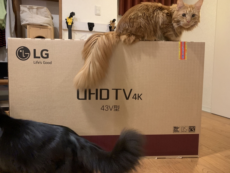 4Kテレビがやってきた。Yeah！Yeah！Yeah！ LG 43UJ6100 - Rich Richer 