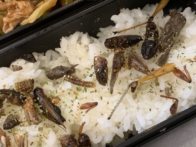 f:id:mocchipa:20191203101926j:plain