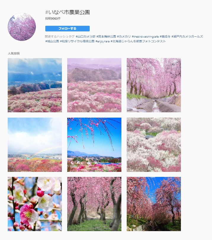 f:id:mocchipa:20200225185612p:plain