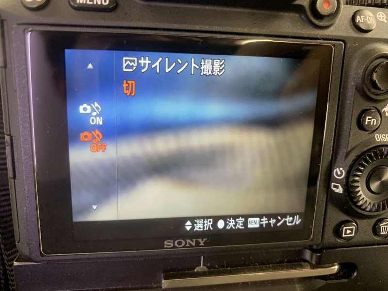 f:id:mocchipa:20200321220403j:plain