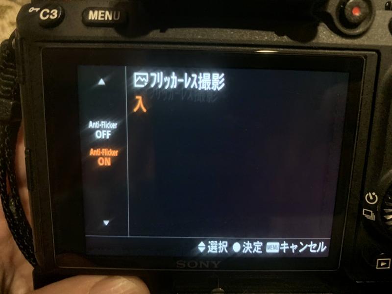 f:id:mocchipa:20200321221000j:plain