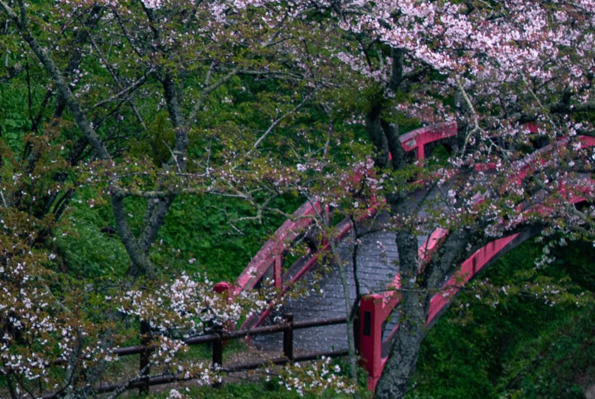 f:id:mocchipa:20200413230453p:plain