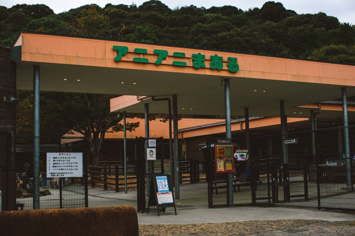 f:id:mocchipa:20201020160611p:plain