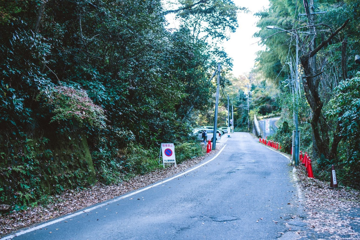 f:id:mocchipa:20201128233716p:plain