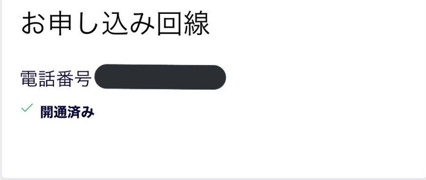 f:id:mocchipa:20201212012433p:plain