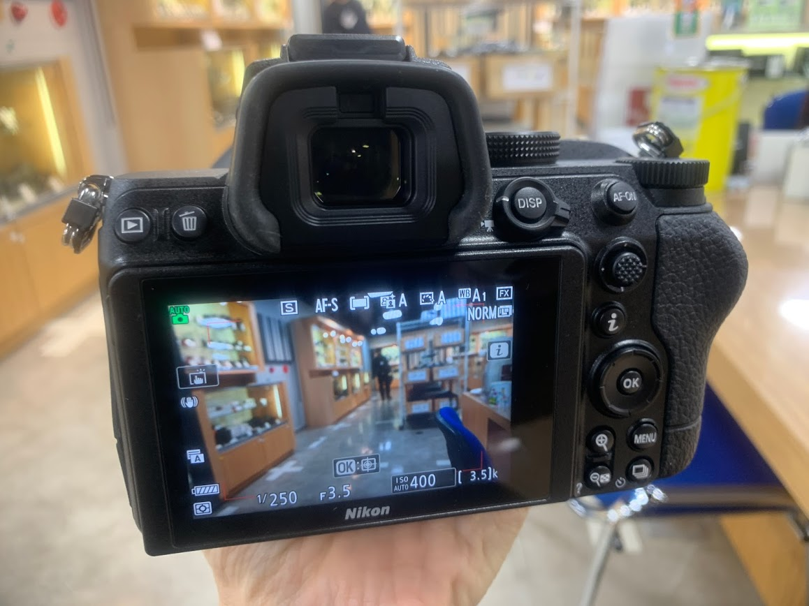 Nikon Z5 back