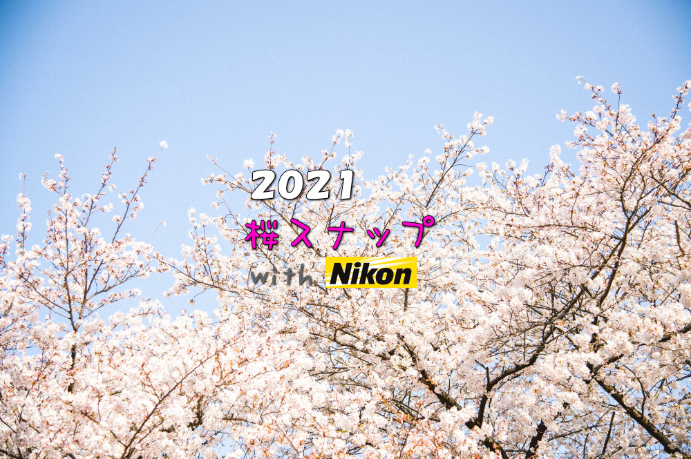 Nikonで撮る桜スナップ