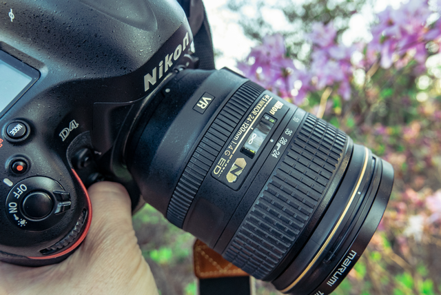 金の冠は本物か? Nikon AF-S Nikkor 24-120mm F4 G ED VR【作例 金の冠は本物か? Nikon AF-S Nikkor 24-120mm F4 G ED VR【作例