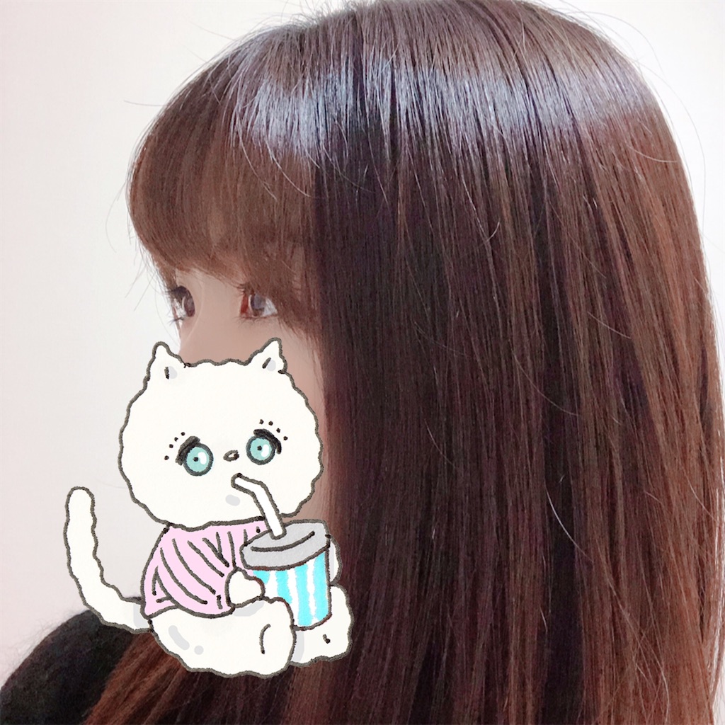 f:id:mocchirioimo:20201218133134j:image