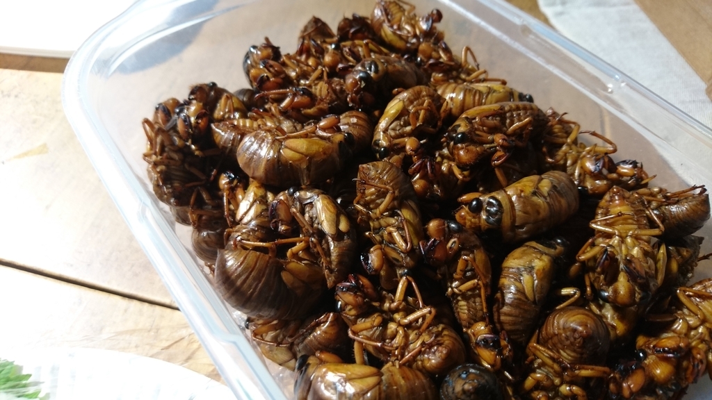 f:id:mocchixblog:20190313084613j:plain