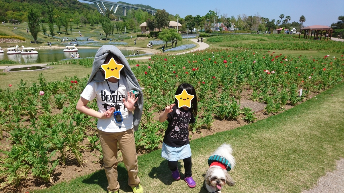 f:id:mocchixblog:20190504224458j:plain