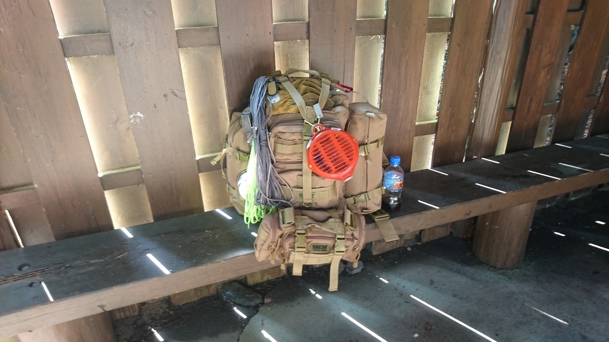 f:id:mocchixblog:20190623011828j:plain f:id:mocchixblog:20190623011828j:plain