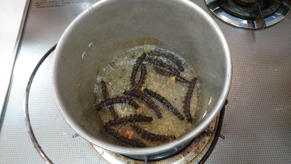 f:id:mocchixblog:20190923141835j:plain f:id:mocchixblog:20190923141835j:plain