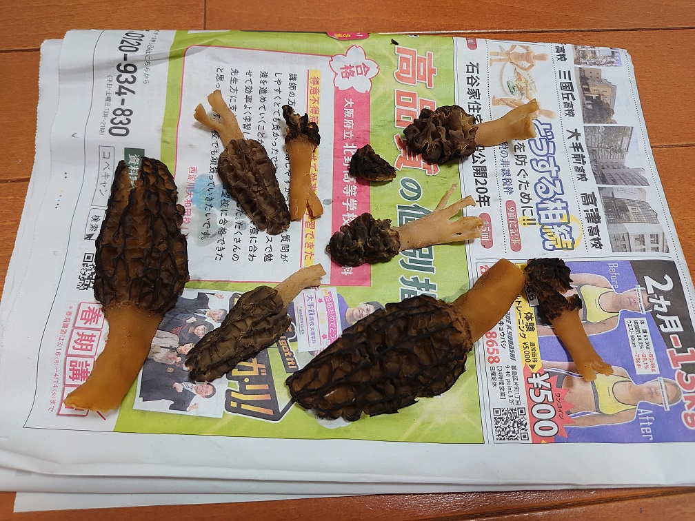 f:id:mocchixblog:20200425014417j:plain