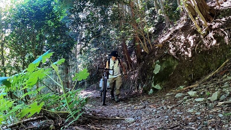 山岳サイクリング