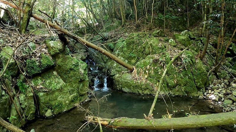 山岳サイクリング