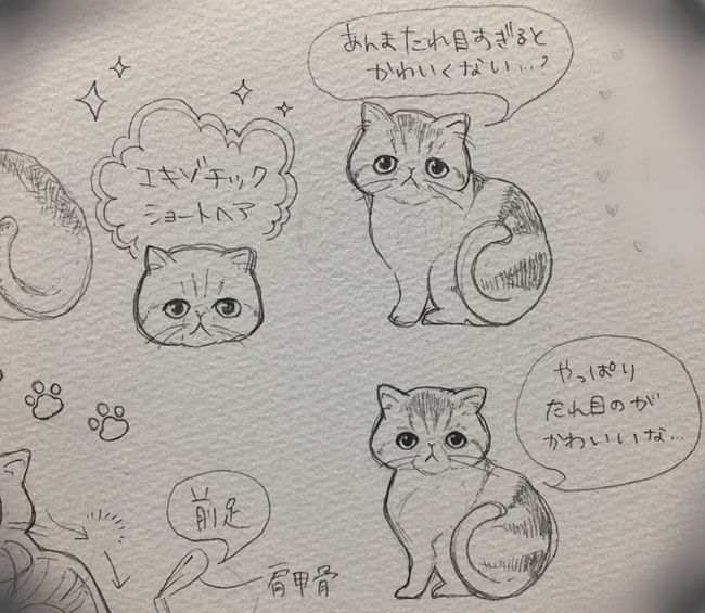f:id:moccke:20170416183242j:plain