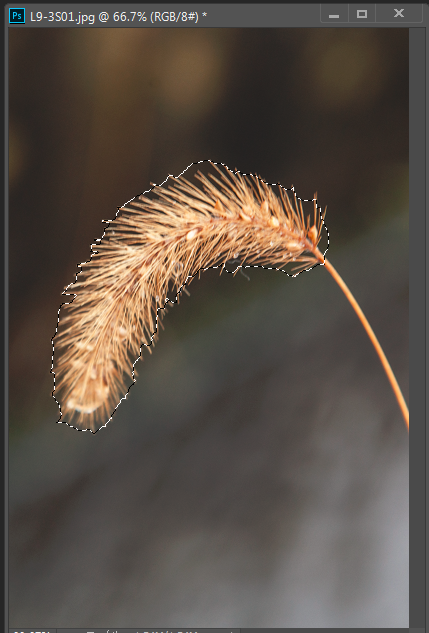 f:id:mocha0426:20170814175946p:plain f:id:mocha0426:20170814175946p:plain