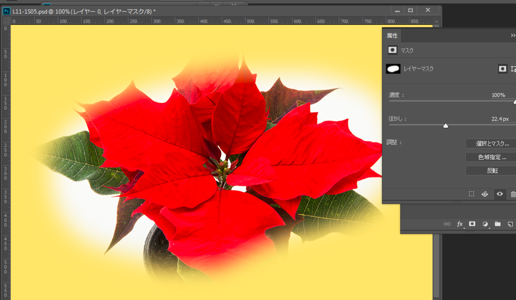 f:id:mocha0426:20170817182158p:plain f:id:mocha0426:20170817182158p:plain