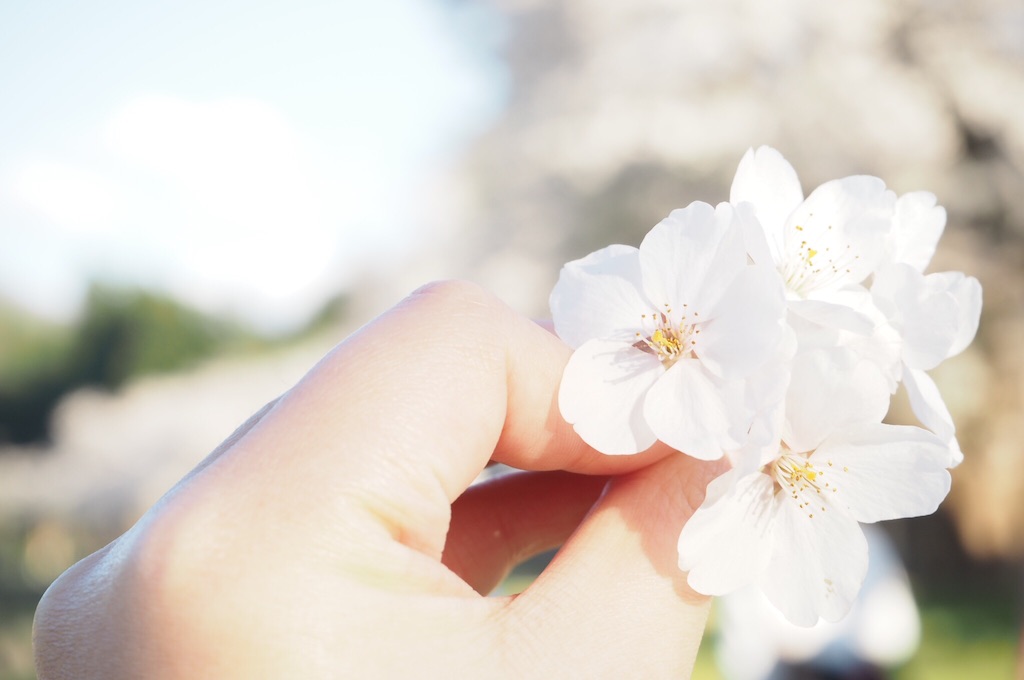 f:id:mocha_mk27:20170502210928j:image
