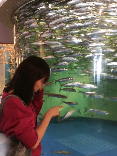 f:id:mochamacha:20151219045530j:plain