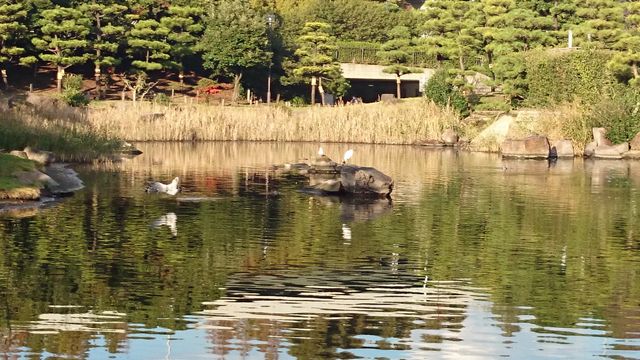 f:id:mochamacha:20151222001304j:plain