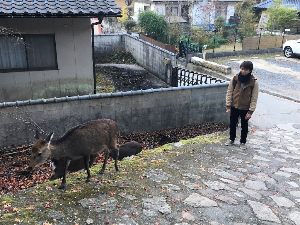f:id:mochanrock:20161219230800j:image f:id:mochanrock:20161219230800j:image
