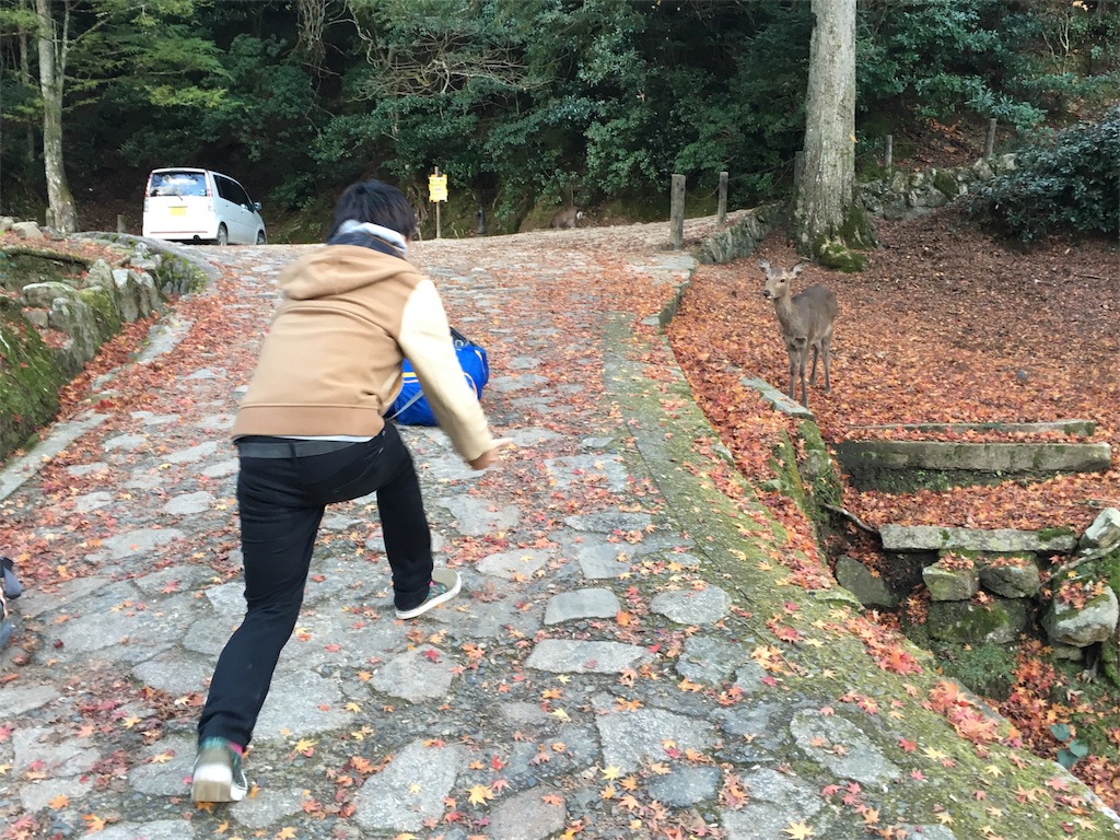 f:id:mochanrock:20161219231036j:image f:id:mochanrock:20161219231036j:image