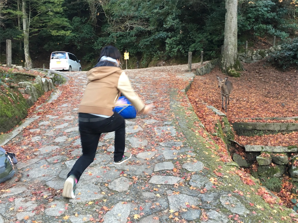f:id:mochanrock:20161219231438j:image f:id:mochanrock:20161219231438j:image