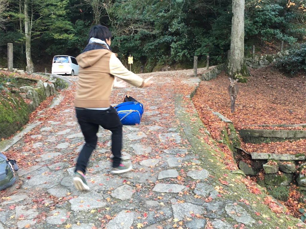 f:id:mochanrock:20161219231509j:image f:id:mochanrock:20161219231509j:image