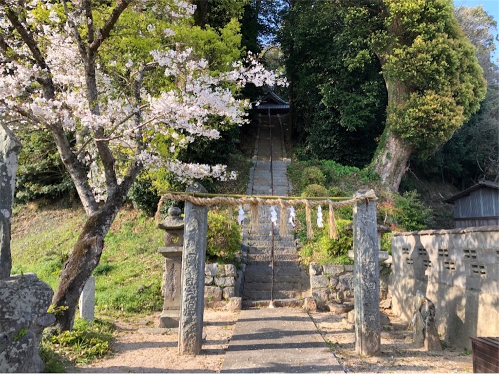 f:id:mocharina09:20190423212504j:image f:id:mocharina09:20190423212504j:image