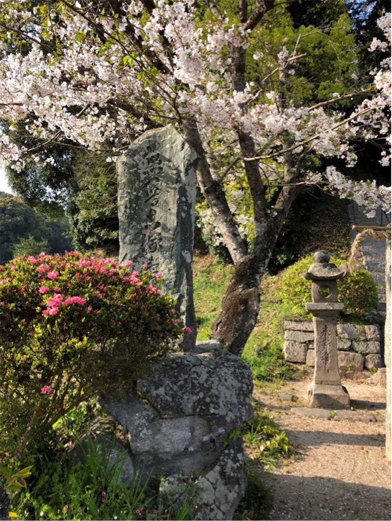 f:id:mocharina09:20190423212916j:image f:id:mocharina09:20190423212916j:image