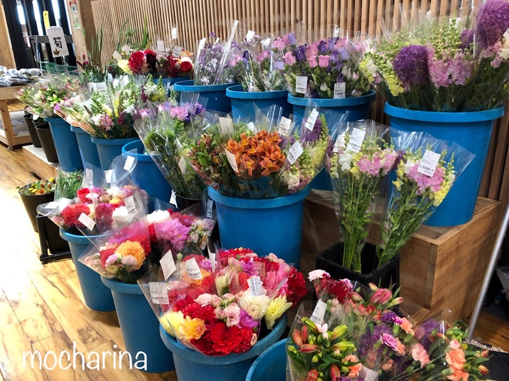 f:id:mocharina09:20190513232507j:image f:id:mocharina09:20190513232507j:image