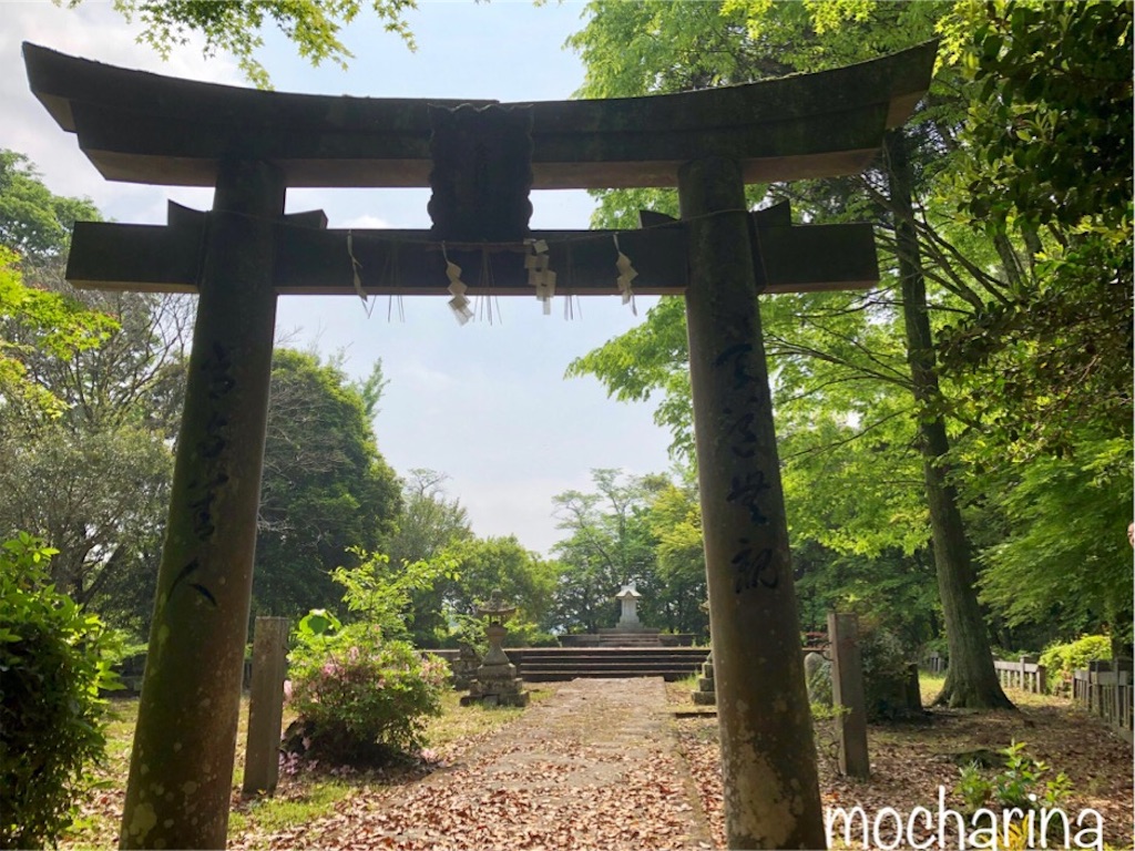 f:id:mocharina09:20190518230719j:image f:id:mocharina09:20190518230719j:image