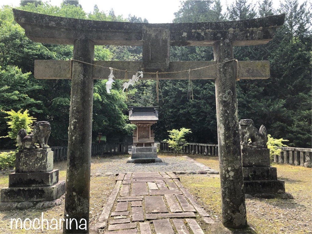 f:id:mocharina09:20190518233732j:image f:id:mocharina09:20190518233732j:image